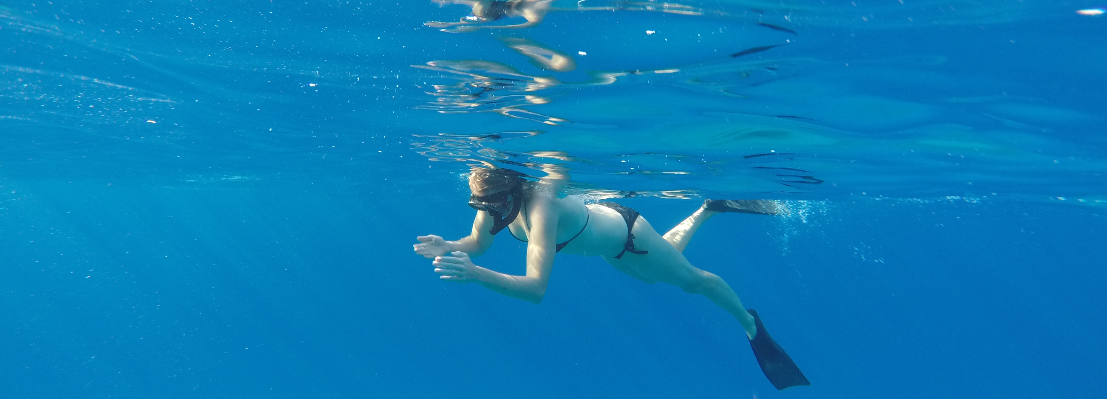 Justine Schluntz about me banner snorkeling